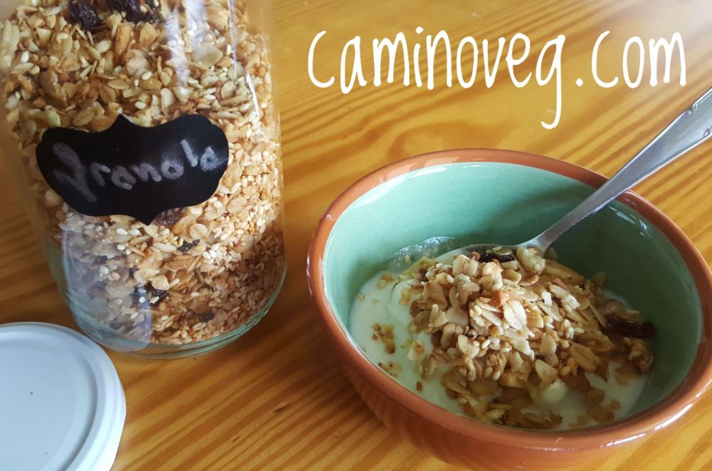 yougurt de soja con granola casera