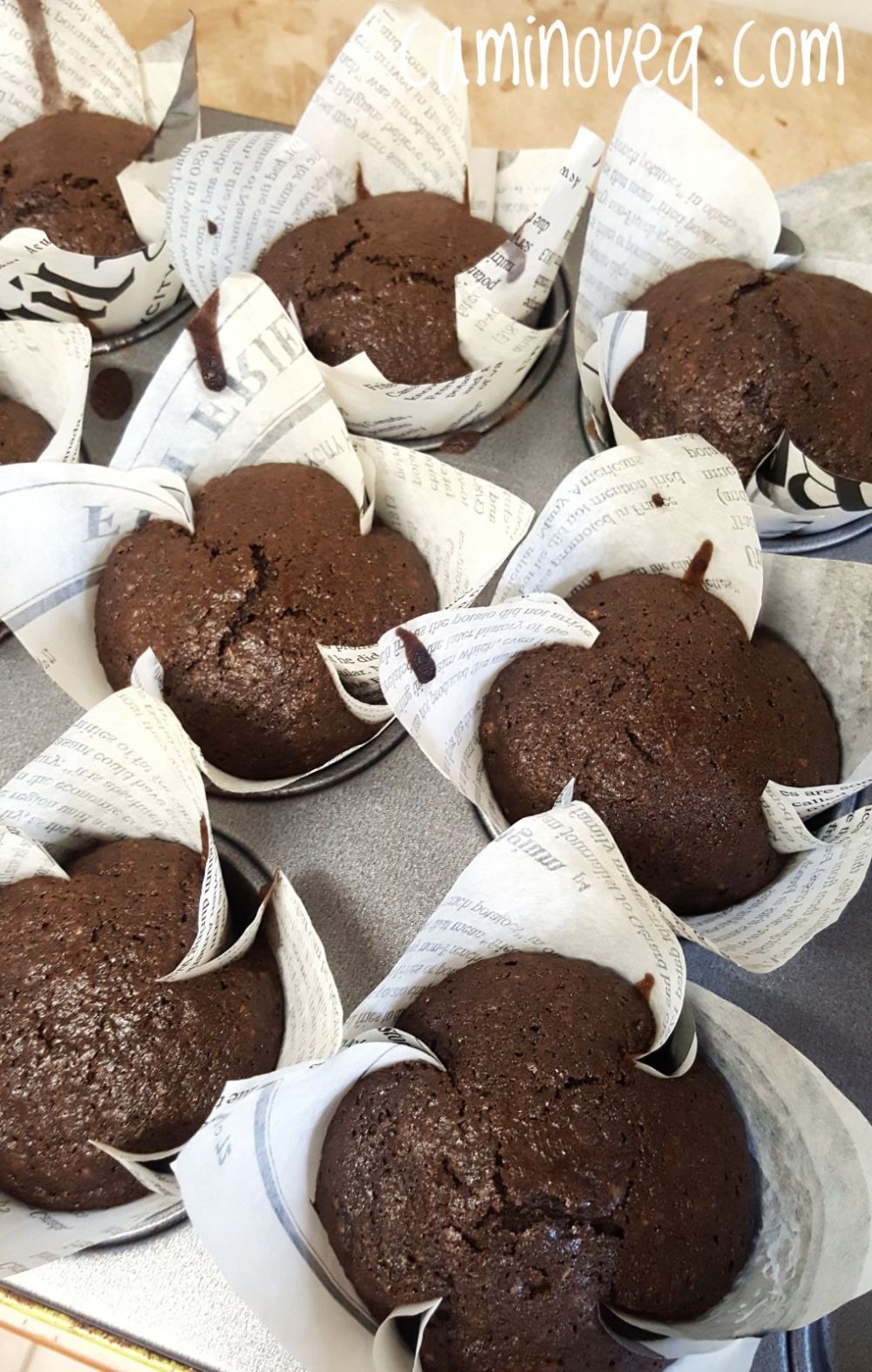 magdalenas de algarroba